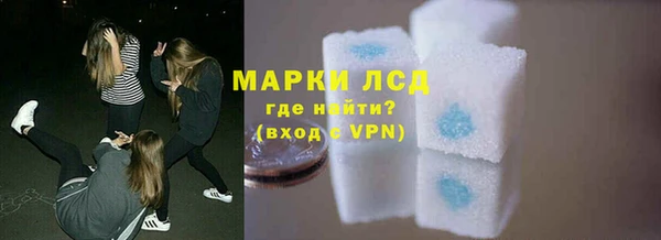 гашик Аркадак