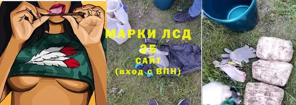 гашик Аркадак