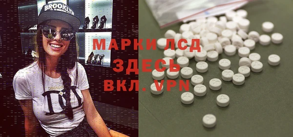 гашик Аркадак